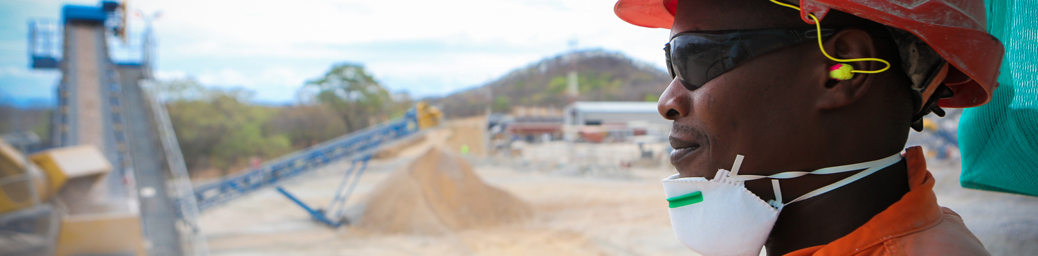 Sustainability Banner